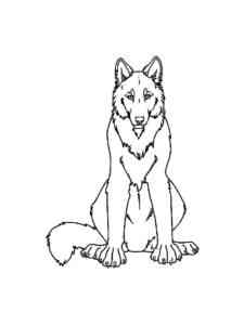 Red Wolf coloring page
