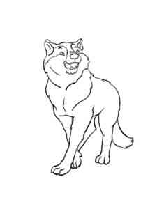 Euroasian Wolf coloring page