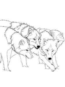 Wolf Pack coloring page
