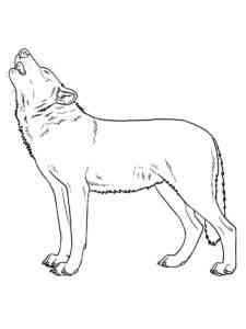 Wolf Howling coloring page