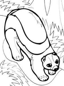 Wild Wolverine coloring page