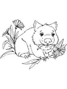 Wombat Eating Flowers coloring page