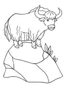 Yak on the Rock coloring page
