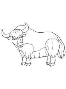 Furry Yak coloring page
