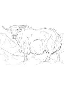 Yak in the mountains coloring page
