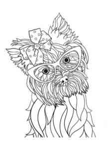 Yorkshire Terrier in glasses coloring page