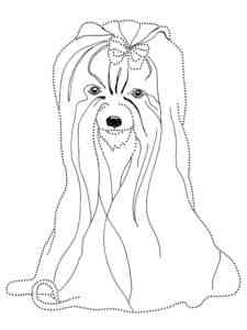 Yorkshire Terrier Dot to dot coloring page