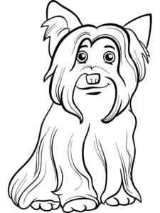 Cute Yorkshire Terrier coloring page