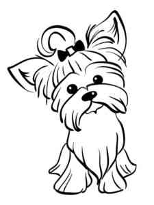 Cartoon Yorkshire Terrier coloring page