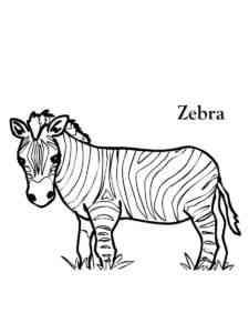 Zebra in the grass coloring page