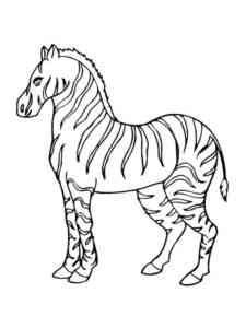 Mountain Zebra coloring page