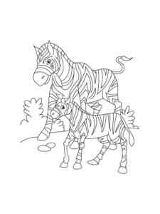 Zebra with a cub coloring page