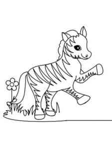 Baby Zebra coloring page
