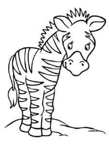 Sad Zebra coloring page