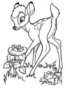 Bambi and the nest with Baby Birds coloring page