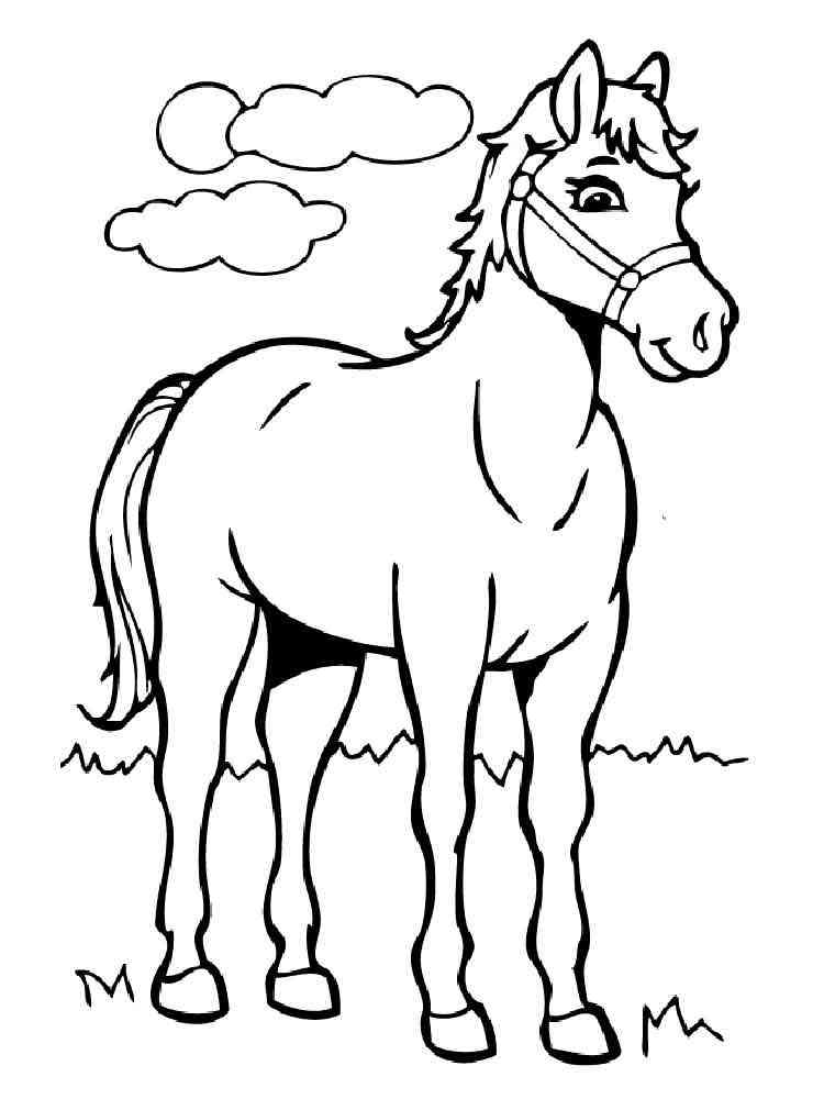 Cartoon Horse 1 coloring page