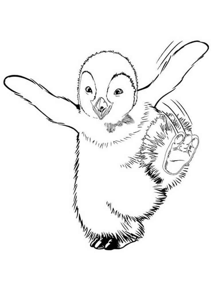 Erik from Happy Feet coloring page