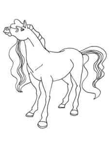 Horse Chili coloring page
