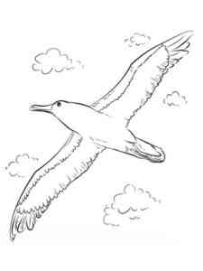 Albatross in the sky coloring page