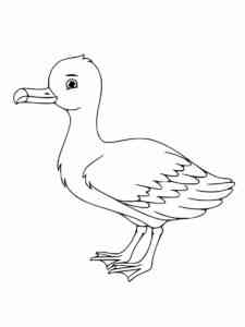 Cartoon Albatross coloring page