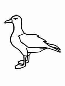 Albatross 19 coloring page