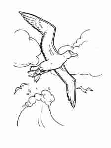 Laysan Albatross coloring page