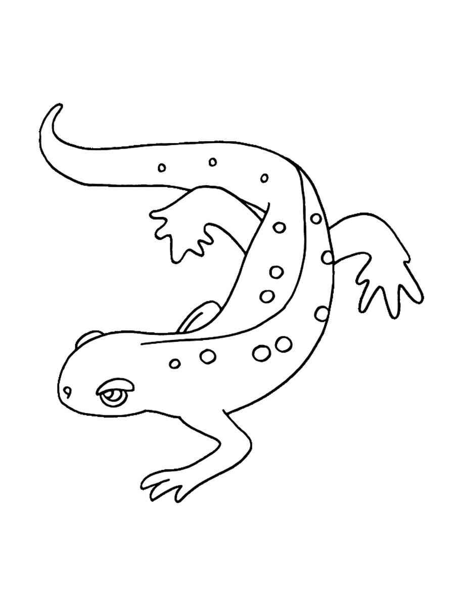 Amphibian 3 coloring page
