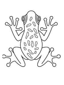 Frog Amphibian coloring page