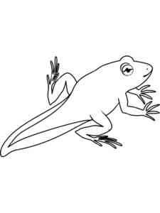 Easy Amphibian coloring page