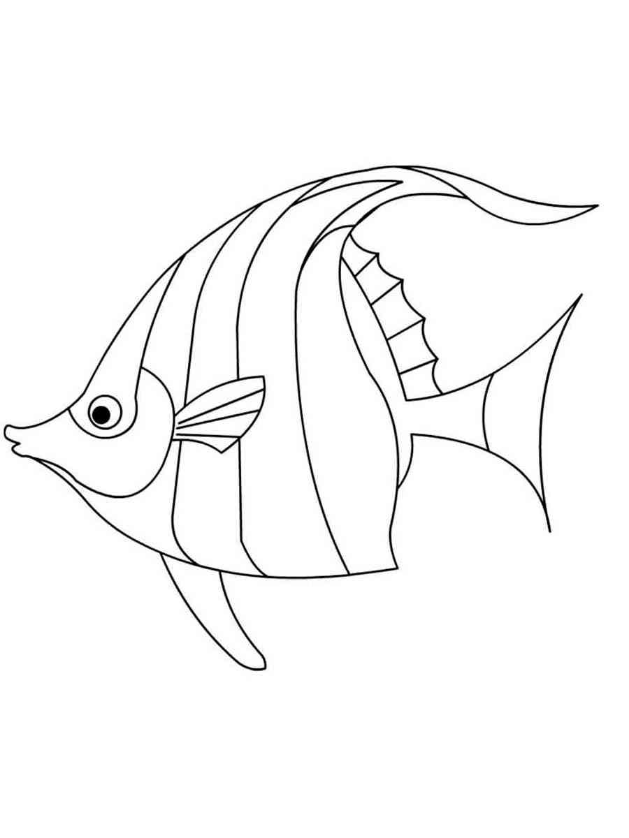 Common Angelfish coloring page