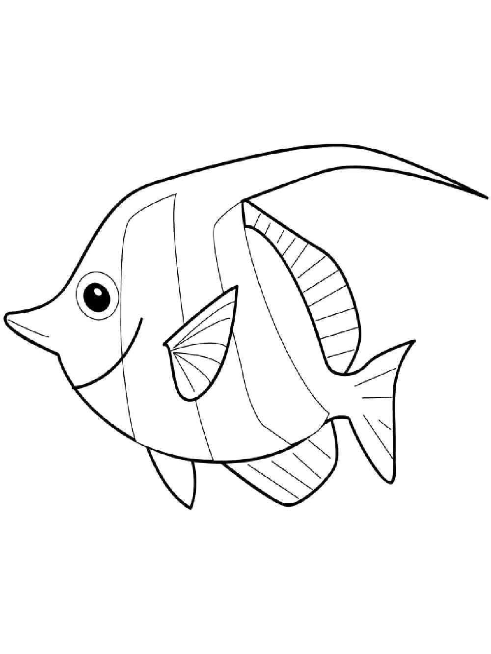Altum Angelfish coloring page