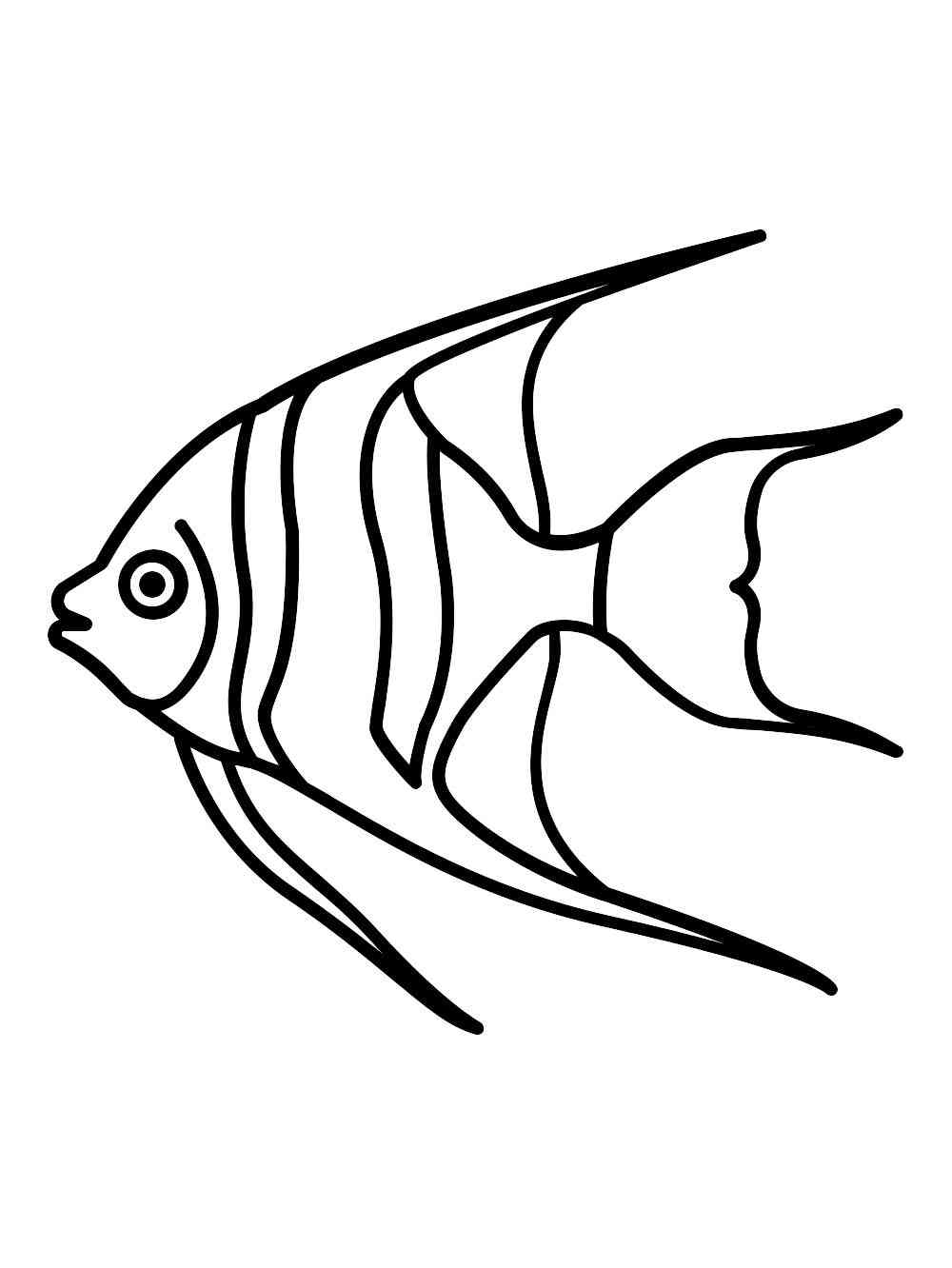 Angelfish 15 coloring page