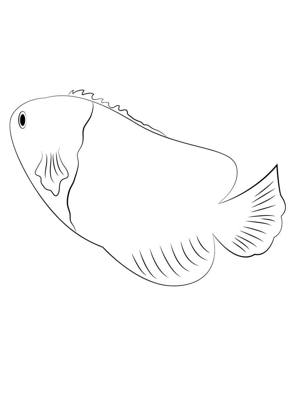 Simple Angelfish coloring page