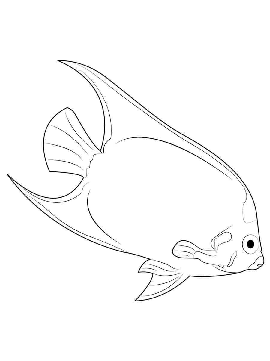 Easy Angelfish coloring page