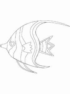 Angelfish 9 coloring page