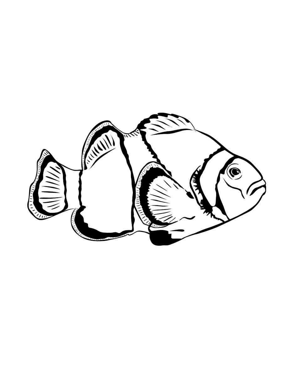 Aquarium Fish 14 coloring page