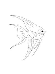 Aquarium Fish 17 coloring page