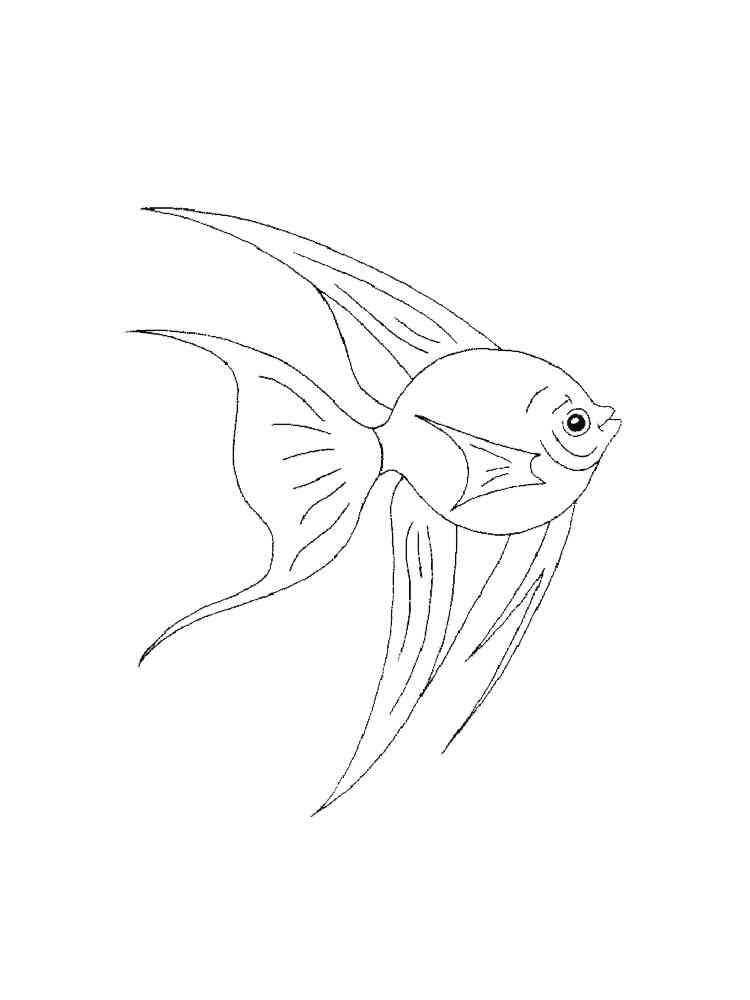 Aquarium Fish 17 coloring page