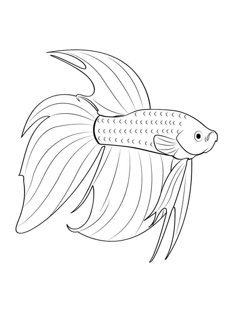 Beauty Betta Aquarium Fish coloring page
