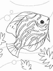 Adorable Aquarium Fish coloring page