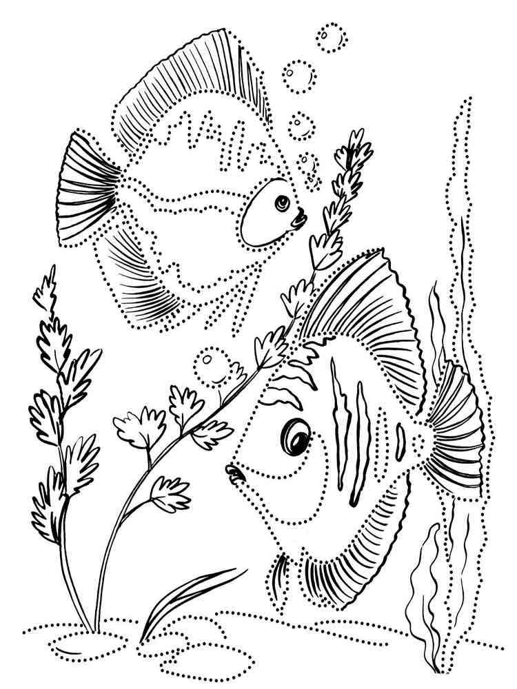 Two Realistic Aquarium Fish coloring page