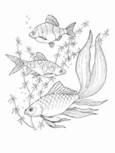 Aquarium Fish underwater coloring page
