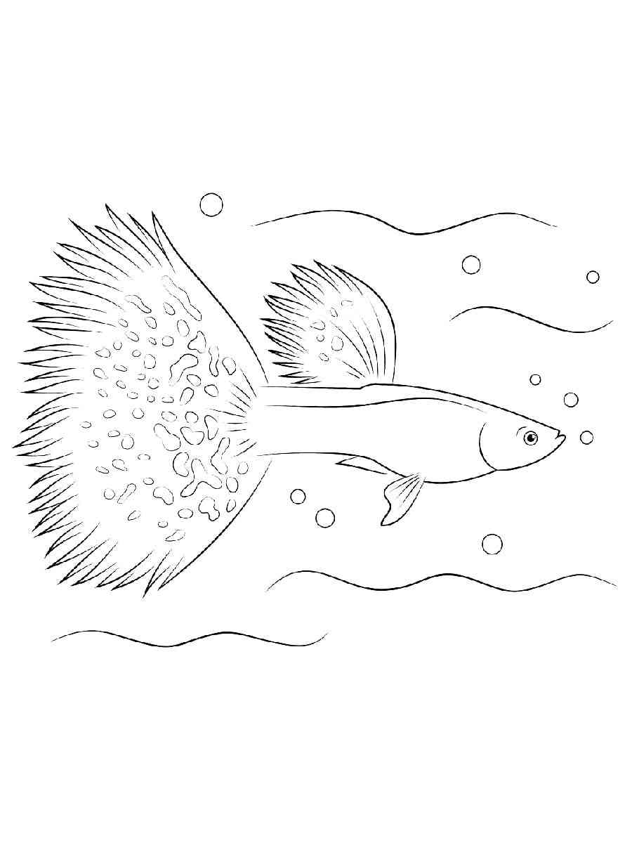 Aquarium Fish 8 coloring page