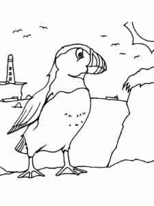 Auk 11 coloring page