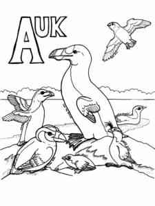 Auk 13 coloring page