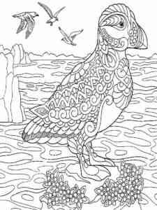 Auk 4 coloring page