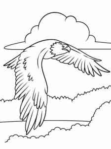 Bald Eagle 14 coloring page