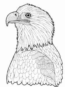 Bald Eagle 17 coloring page