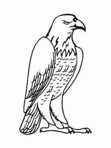 Bald Eagle 20 coloring page