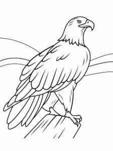 Bald Eagle 25 coloring page